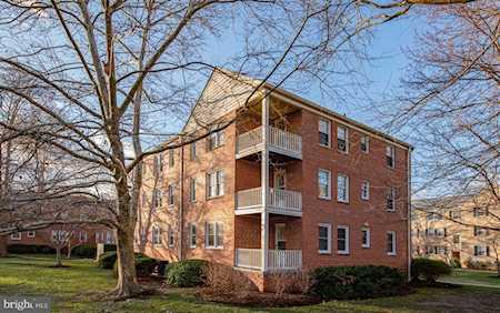 6511 Potomac Ave #B1 Alexandria, VA 22307