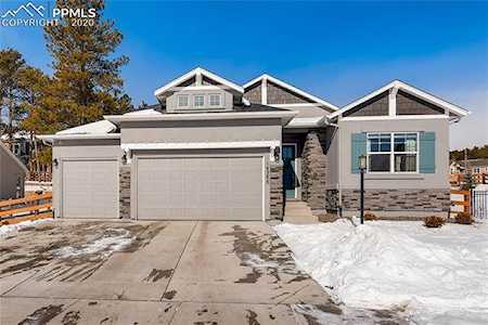 16386 Shadow Cat Place Monument, CO 80132