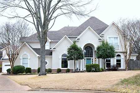 300 N Fern Valley Cv Cordova, TN 38018