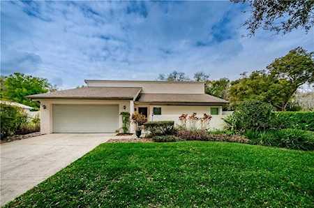 15534 Woodway Drive Tampa, FL 33613