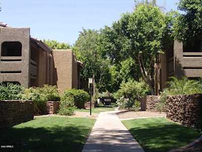 3825 E Camelback Road #147 Phoenix, AZ 85018