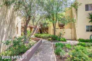 6240 N 16th Street #39 Phoenix, AZ 85016