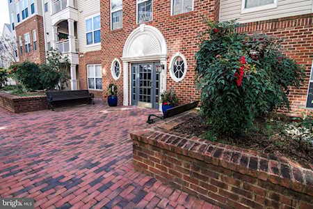 5116 Donovan Dr #206 Alexandria, VA 22304