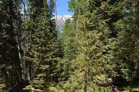 TBD Aspen Park Circle #44 Telluride, COLORADO 81435
