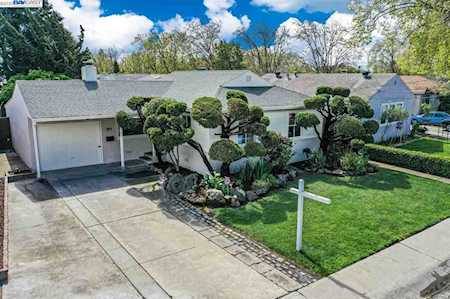 15848 Paseo Del Campo San Lorenzo, CA 94580