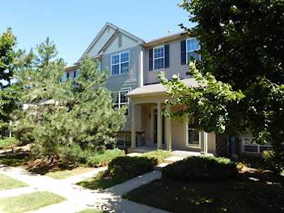 1037 Ellsworth Dr Grayslake, IL 60030