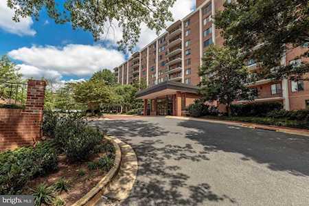 3101 New Mexico Ave NW #232 Washington, DC 20016