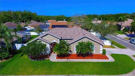 17918 Sparrows Nest Dr Lutz, FL 33558