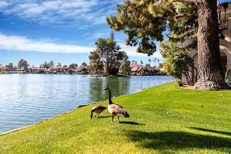 5200 S Lakeshore Drive #138 Tempe, AZ 85283