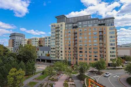 10 Nouvelle Way #S904 Natick, MA 01760