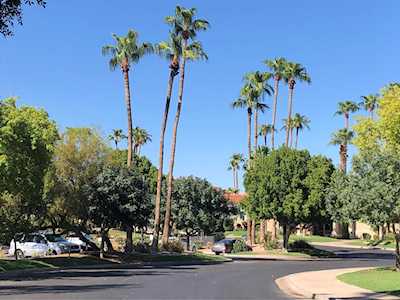 1633 E Lakeside Drive #157 Gilbert, AZ 85234