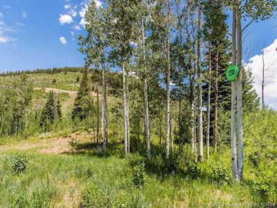 230 White Pine Canyon Rd Park City, UT 84060