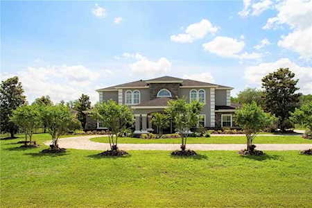 17229 Breeders Cup Dr Odessa, FL 33556