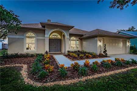 19508 Wyndmill CIRCLE Odessa, FL 33556