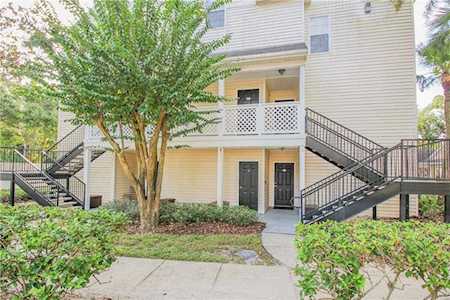 3313 Haviland Ct #301 Palm Harbor, FL 34684