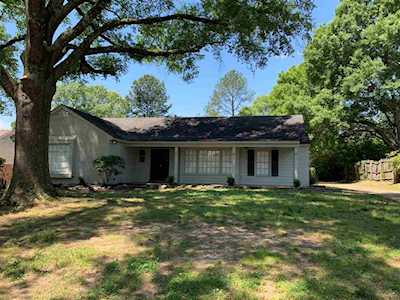 2319 Lovitt Dr Memphis, TN 38119