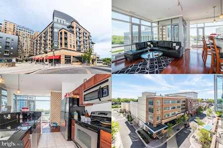 6506 America Blvd #503 Hyattsville, MD 20782