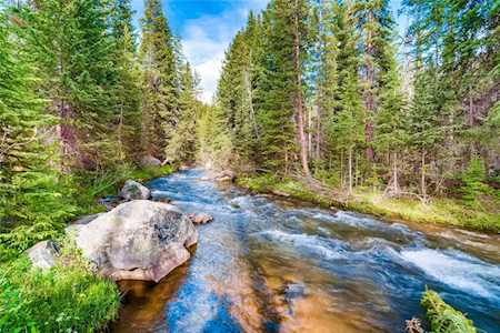 451 River Park Dr Breckenridge, CO 80424