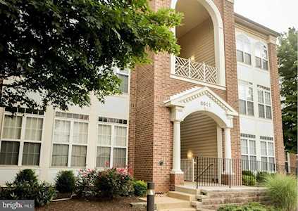6611 Netties Ln #D Alexandria, VA 22315