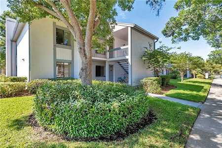 301 Martha Ln Oldsmar, FL 34677