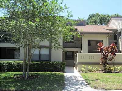 233 Woodlake Wynde Oldsmar, FL 34677