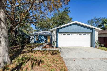 1920 Dover Ct Oldsmar, FL 34677