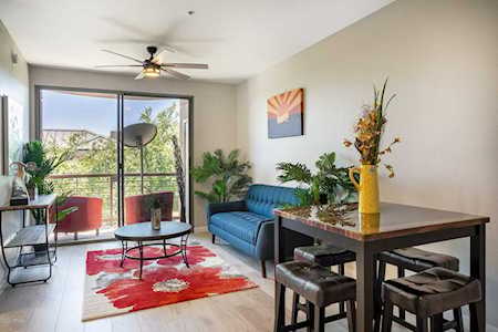 1701 E Colter Street #372 Phoenix, AZ 85016