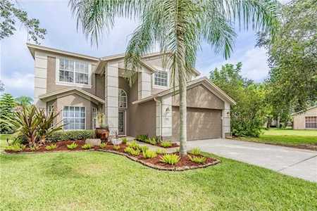 1602 Shady Oaks Dr Oldsmar, FL 34677