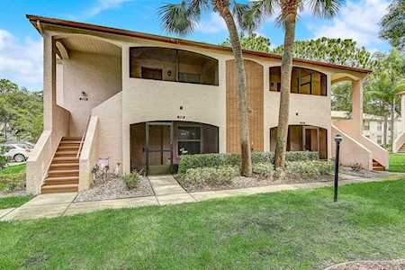3017 Bonaventure CIRCLE #104 Palm Harbor, FL 34684