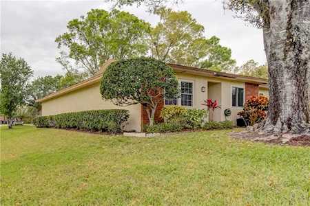 845 N Maclaren Dr #A Palm Harbor, FL 34684