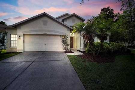 15466 Martinmeadow Dr Lithia, FL 33547