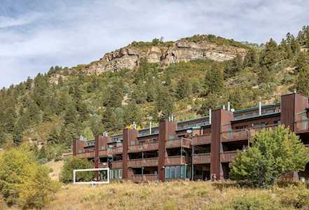 35 Pilot Knob Ln #409 Telluride, COLORADO 81435