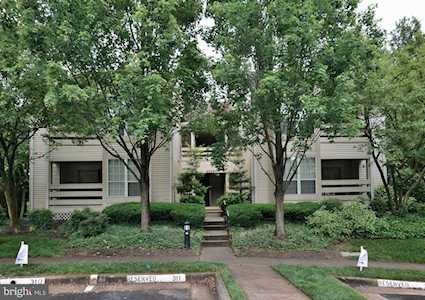 4555 Interlachen Ct #E Alexandria, VA 22312