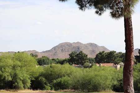4303 E Cactus Road #228 Phoenix, AZ 85032