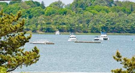 15 Park Ave. #205 Hull, MA 02045