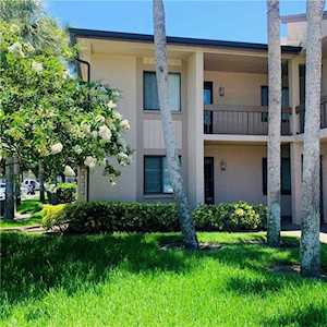 116 Mary Dr Oldsmar, FL 34677