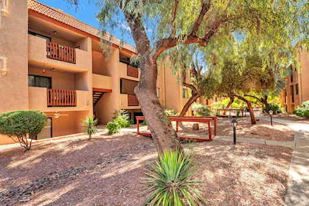 3031 N Civic Center Plaza #234 Scottsdale, AZ 85251