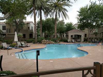 3131 E Legacy Drive #2013 Phoenix, AZ 85042