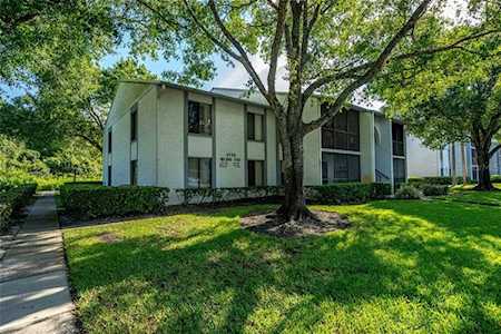 1170 Pine Ridge CIRCLE W #B1 Tarpon Springs, FL 34688