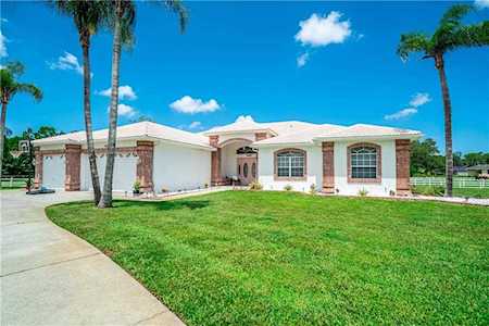 Zip Code Search for 34654 | Properties in 34654 Eastern New Port Richey FL