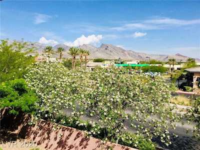 909 Domnus #204 Las Vegas, NV 89144
