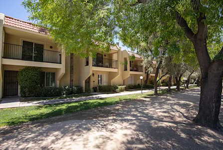 8225 N Central Avenue #15 Phoenix, AZ 85020