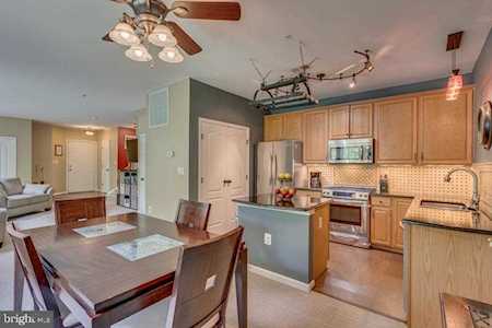 5090 Donovan Dr #104 Alexandria, VA 22304