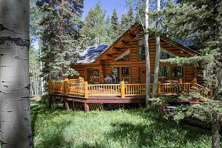 105 High Noon Ln Telluride, COLORADO 81435