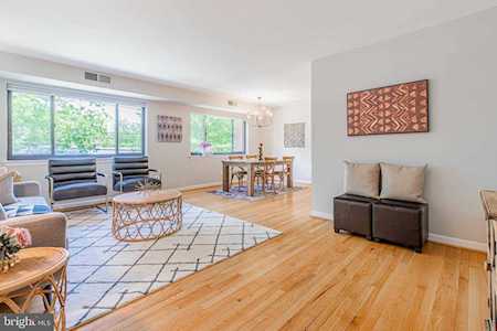 407 Tulip Ave #201 Takoma Park, MD 20912
