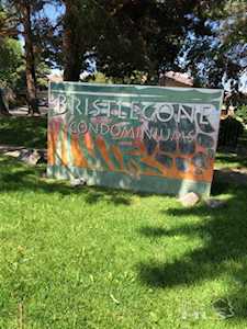 3220 Bristle Branch Drive Sparks, NV 89434-1511