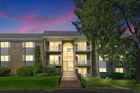 1521 N Windsor Dr #115 Arlington Heights, IL 60004