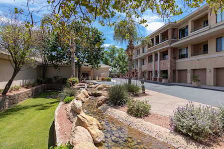 2989 N 44th Street #1003 Phoenix, AZ 85018