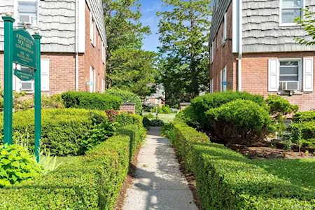905 Palmer Avenue #D1 Mamaroneck, NY 10543