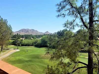 4303 E Cactus Road #439 Phoenix, AZ 85032